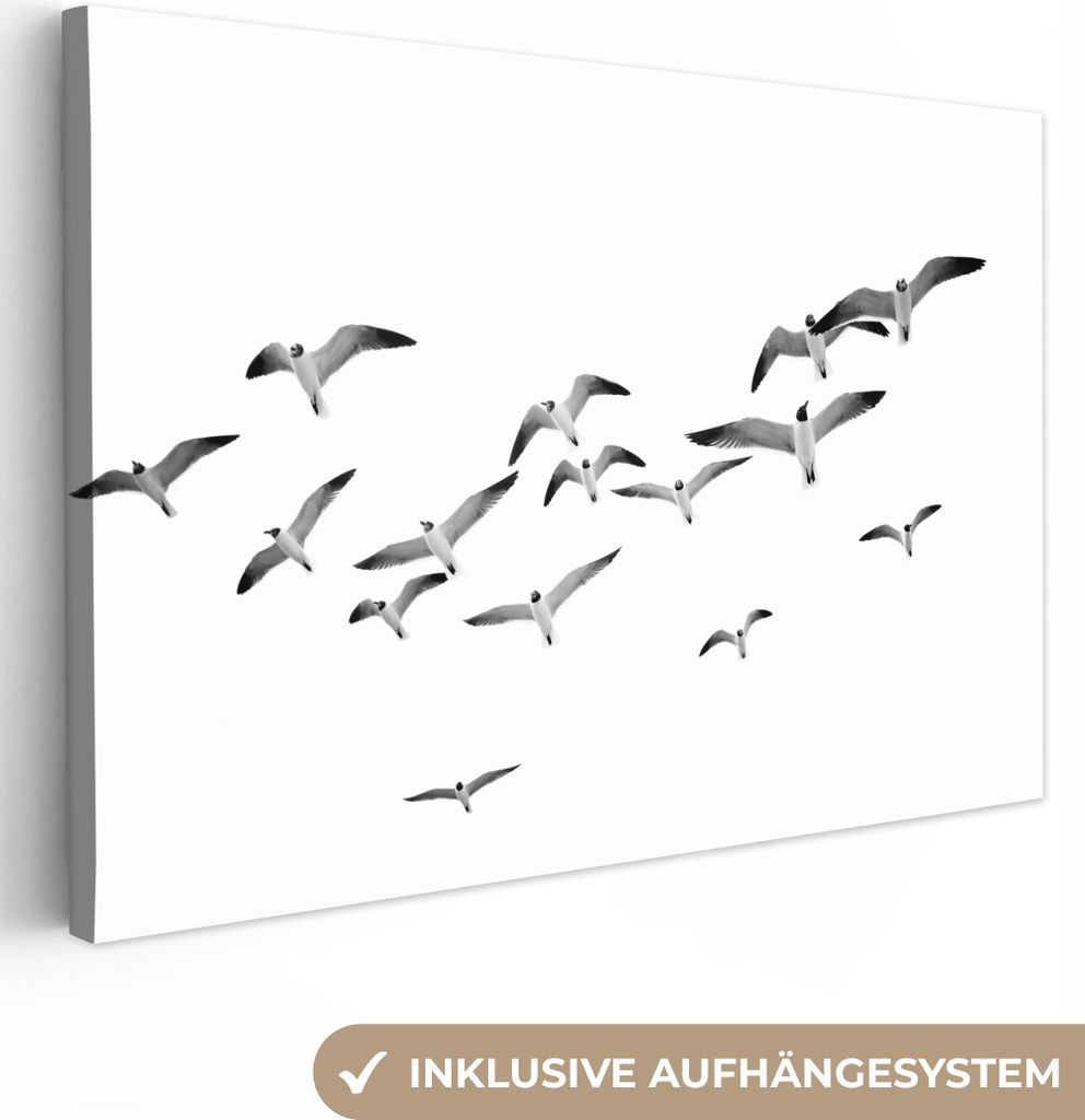 OneMillionCanvasses - Leinwandbilder - 150x100 cm, Vögel - Schwarz und weiß - Natur - Himmel, Wandbilder Kunstdruck Wanddekoration - Foto auf L...