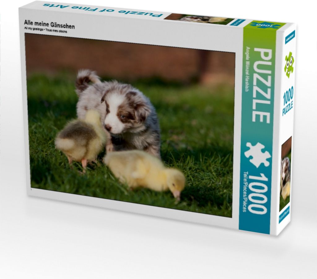 Calvendo Alle meine Gänschen 1000 Teile Puzzle quer Produktbild 