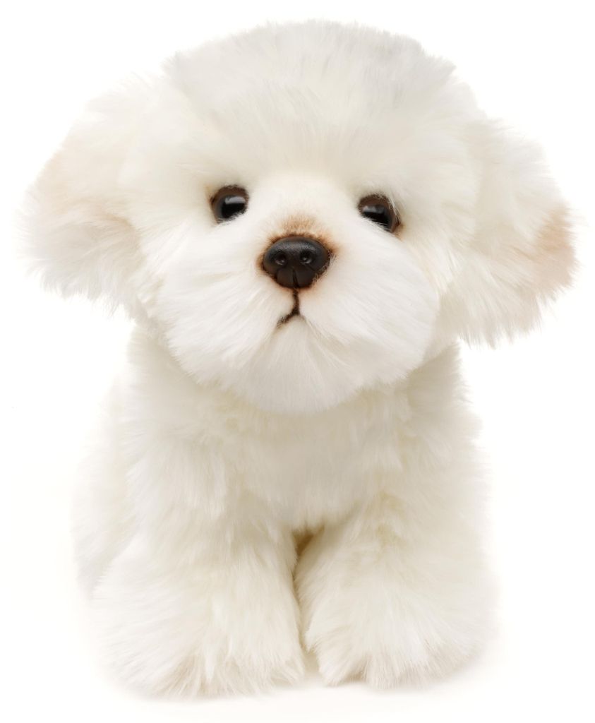 Cane maltese di peluche 18 cm ECO-FRIENDLY Immagine del prodotto 