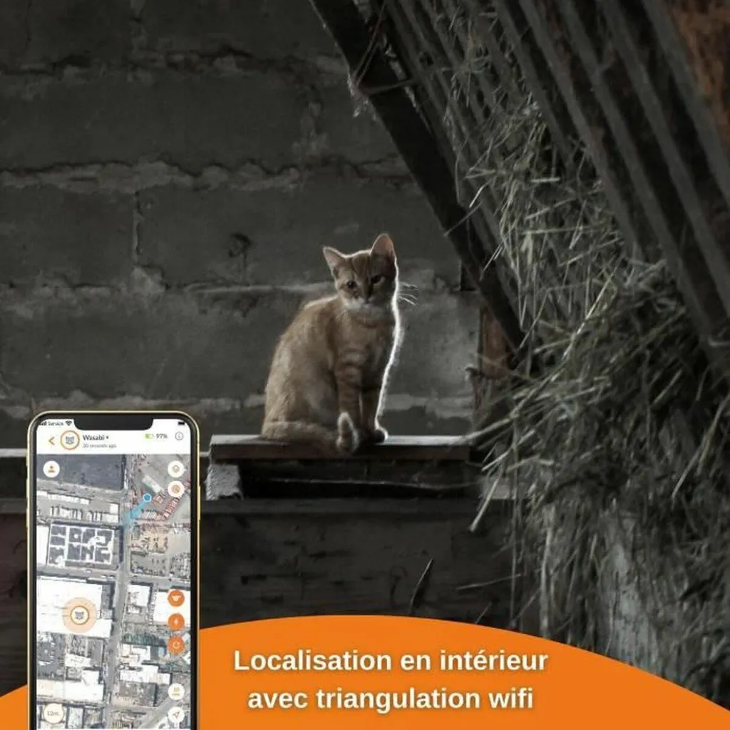 Localiser mon Chat avec Weenect XS : GPS Anti-perte sans Limite Blanc