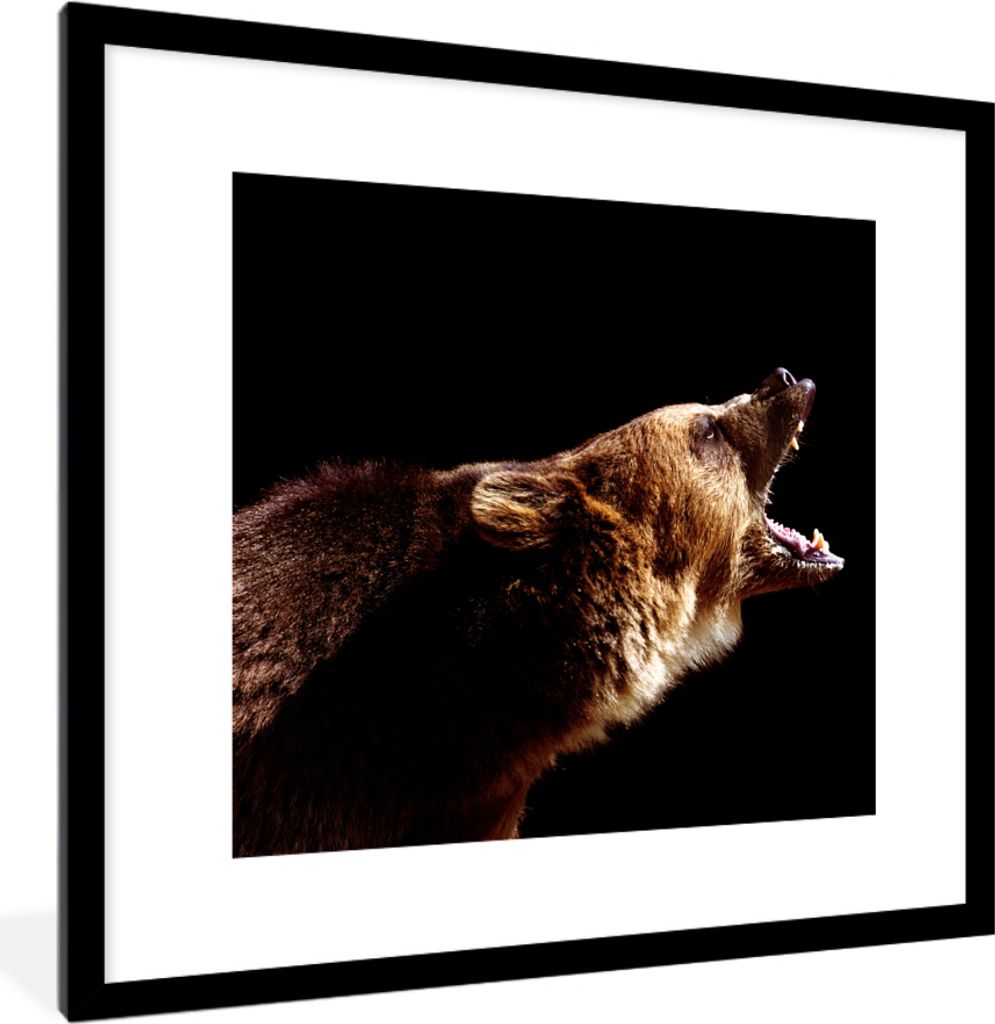 MuchoWow MuchoWow Gerahmtes Poster Bär - Wildtier - Zähne 40x40 cm - Poster mit zchwarzem Bilderrahmen - Poster - Plakat im Rahmen