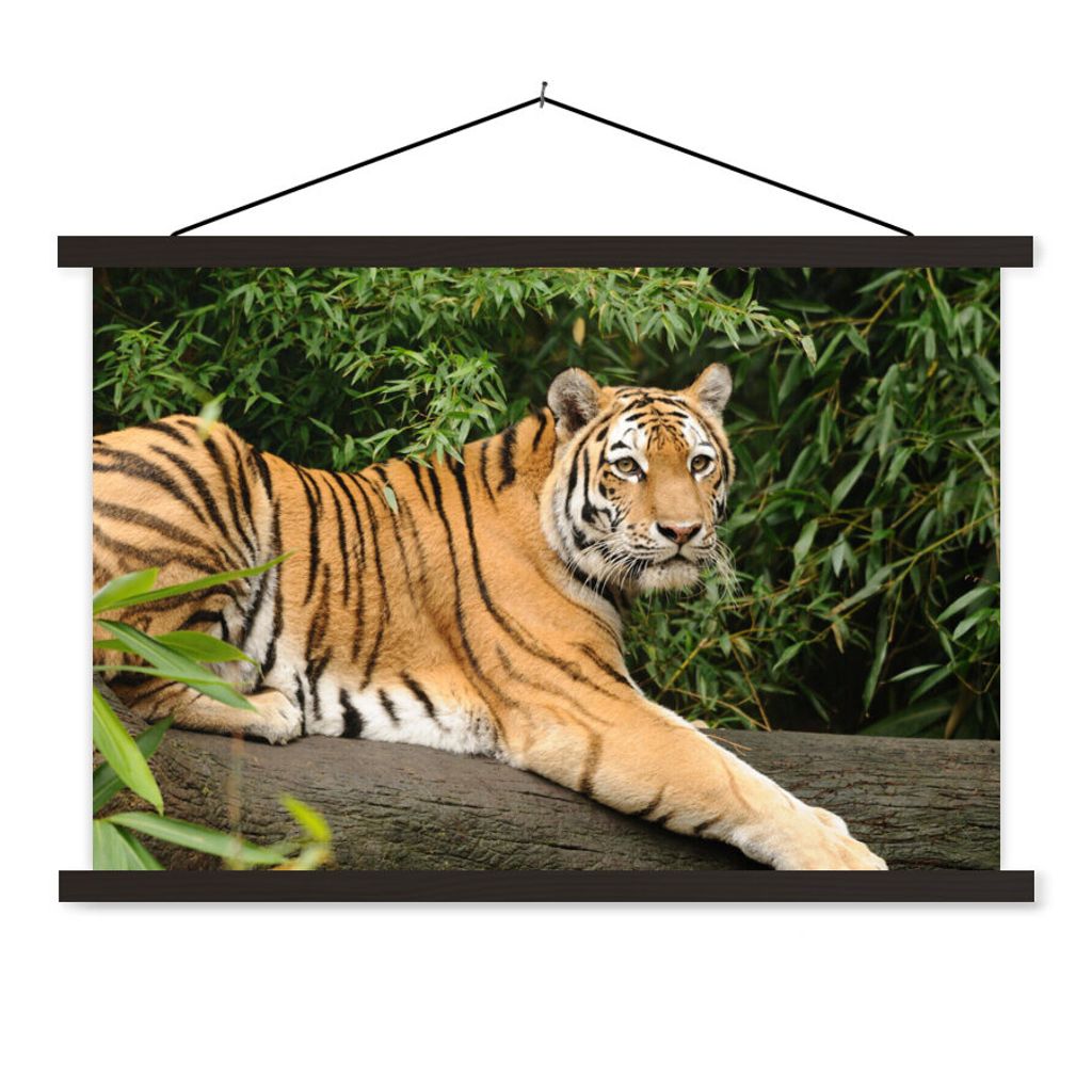 MuchoWow Textilposter Tiger - Baum - Blätter 150x100 cm mit schwarzem Rahmen - Schlafzimmer