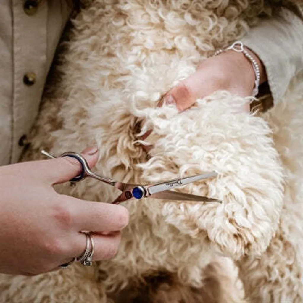 Ciseaux de précision Mikki à bouts ronds de sécurité pour chien et chiot