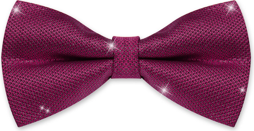 Fliege Herren Hochzeit Konfirmation Anzug Smoking Schleife Schlips Glitzer Glitter dunkelviolett