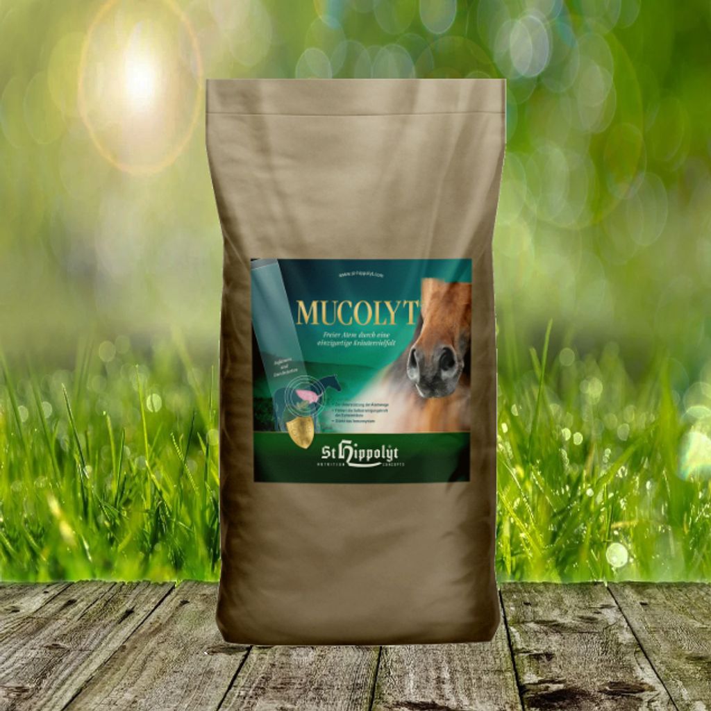 St. Hippolyt Mucolyt Atemwegskur 25 kg Produktbild 
