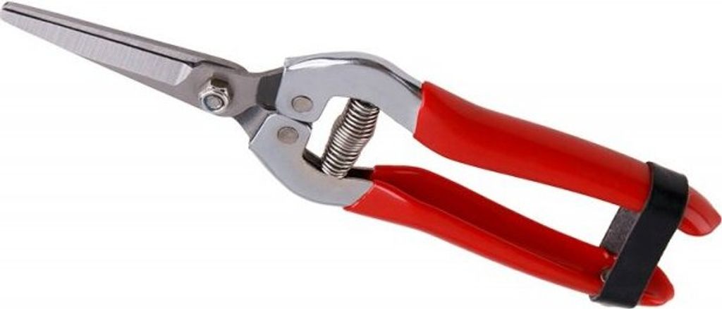 Sekator prosty Levior 19cm Zdjęcie produktu 