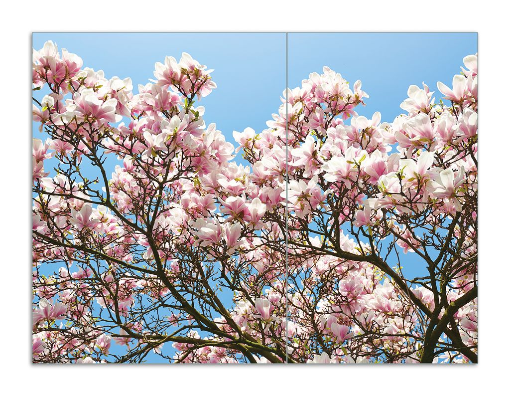 Wallario Herdabdeckplatte aus Glas, Größe 70 x 52 cm 2-teilig, Motiv Schöne rosa Magnolien-Blüten vor blauem Himmel