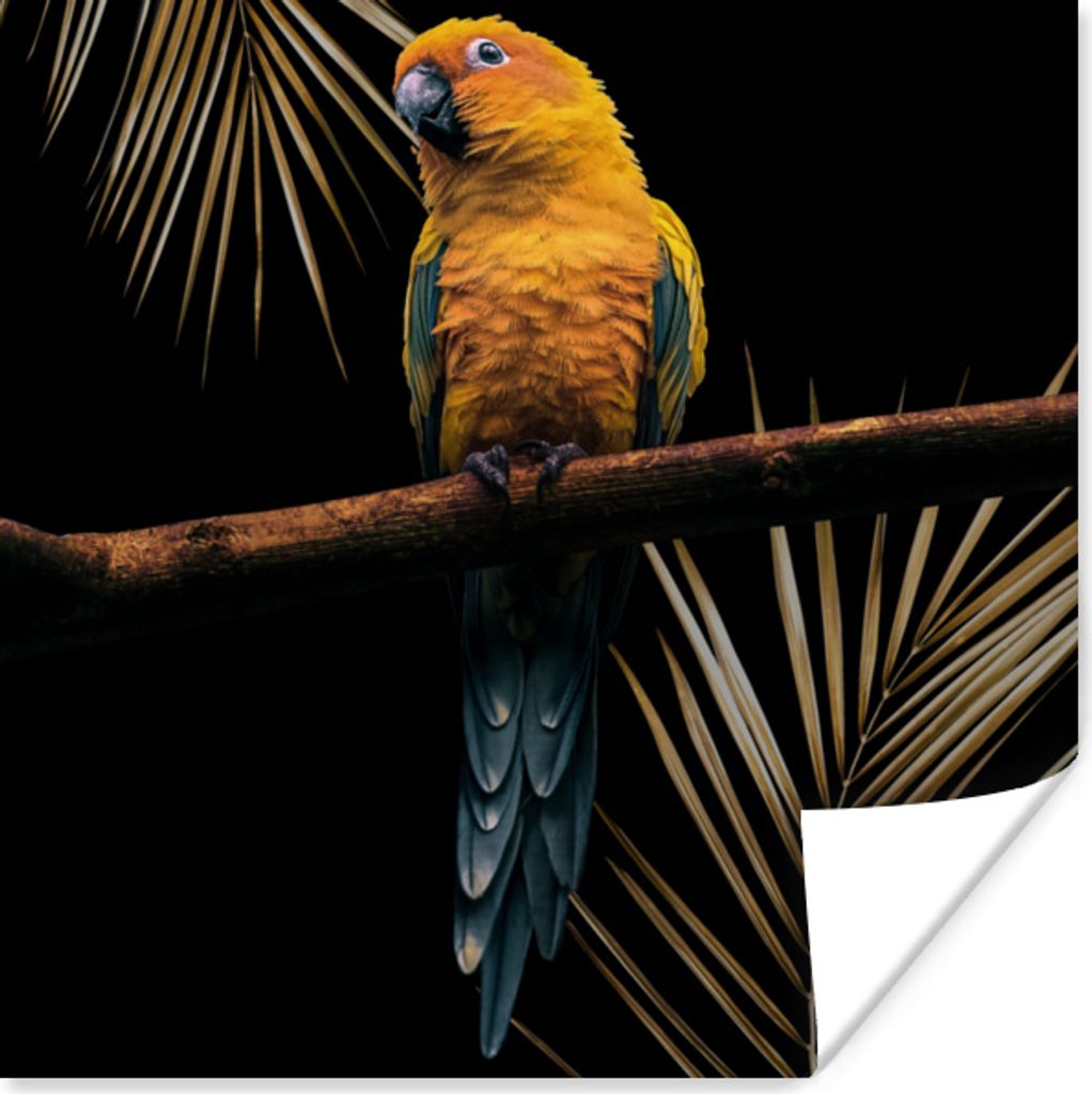 MuchoWow Poster Vogel - Papagei - Zweig - Farn 75x75 cm - Wand Dekoration