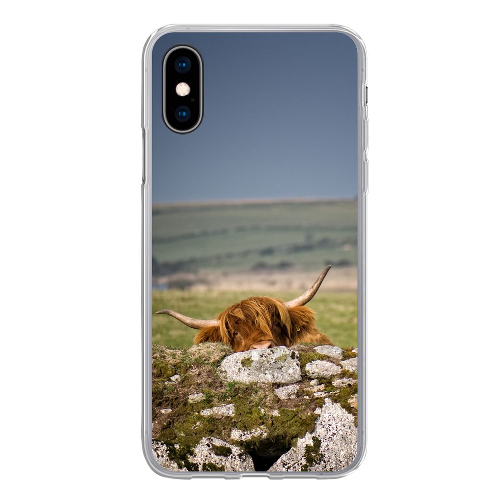 MuchoWow Handyhülle Schutzhülle Hülle für iPhone X Schottische Highlander - Steine - Gras Silikon Softcase Handy Hülle - Handyhülle