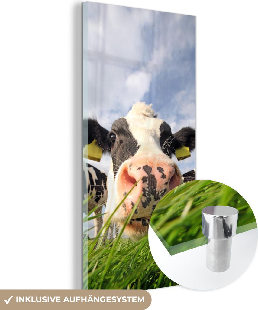MuchoWow Glasbilder - Bilder auf Wandbild - Foto auf Glas Kuh - Bauernhof - Gras - Tiere 40x80 cm Wanddekoration aus Glas - Acrylglasbild - Acrylbi...