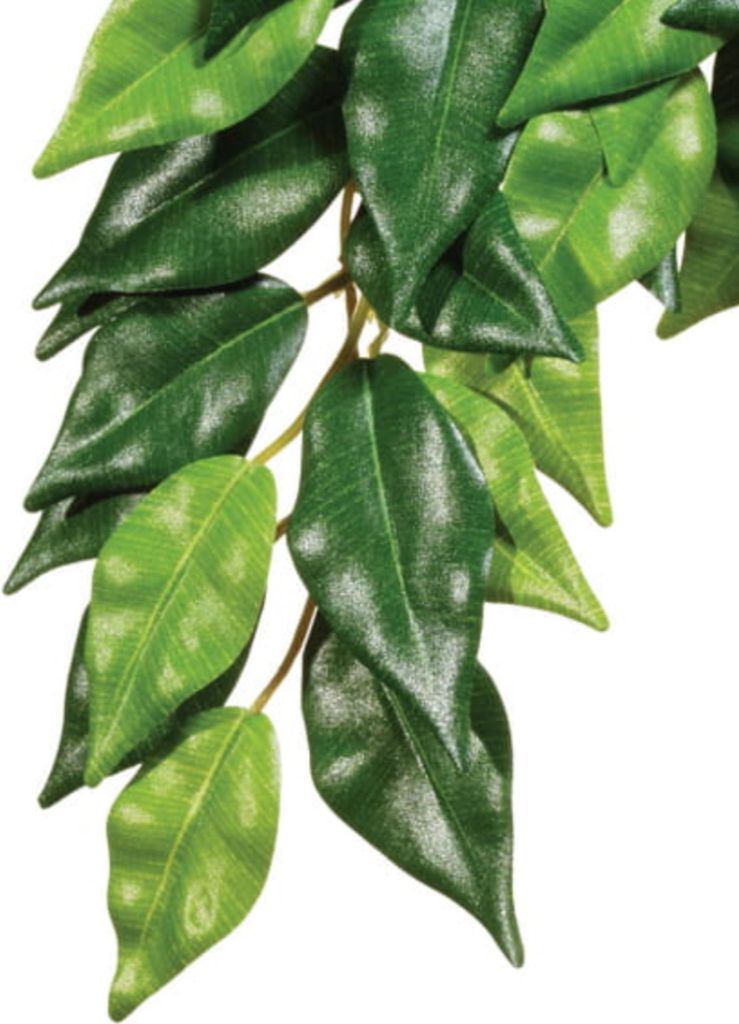 EXO TERRA visiac plant Fikus 45cm Exo terra Obrázok produktu 