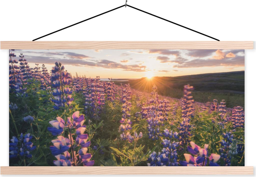 MuchoWow Textilposter Lupine - Sonne - Lila 60x30 cm mit holzfarbenen Rahmen - Dekoration