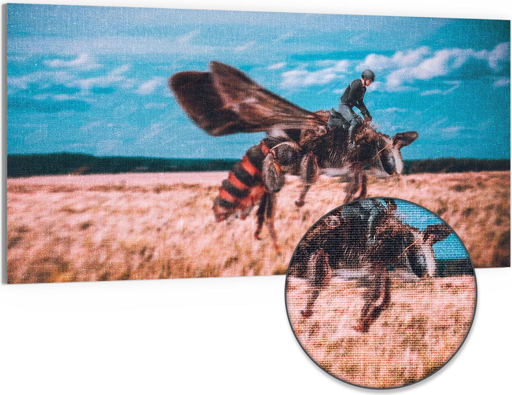 DEQOART Hybrid Leinwand Bild 100x50 cm 'Flug der Phantasie' Wandbild Glas flach modern