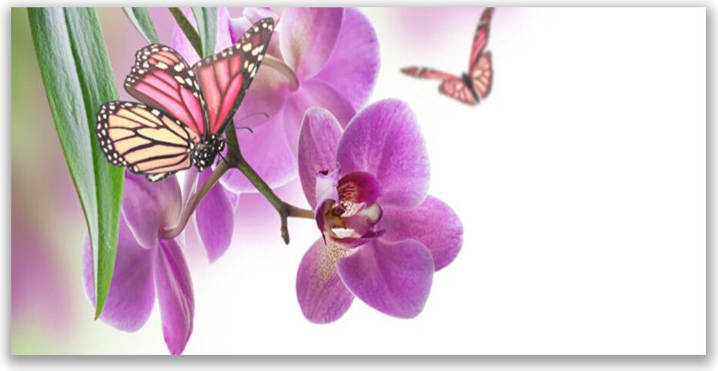 Küchenrückwand aus Glas 140x70cm Spritzschutz Schmetterlinge Blumen Natur