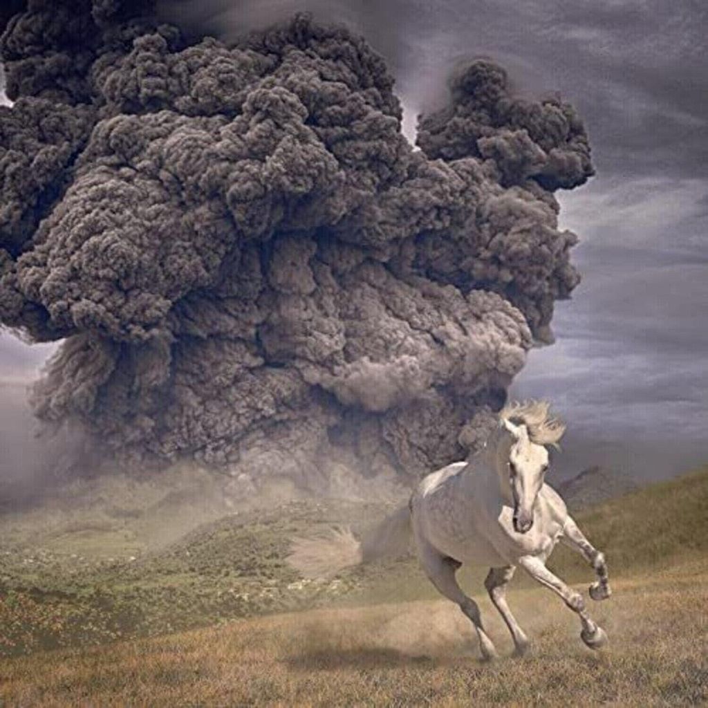 The White Buffalo - Year Of The Dark Horse (Transparent Blue Coloured) (LP)