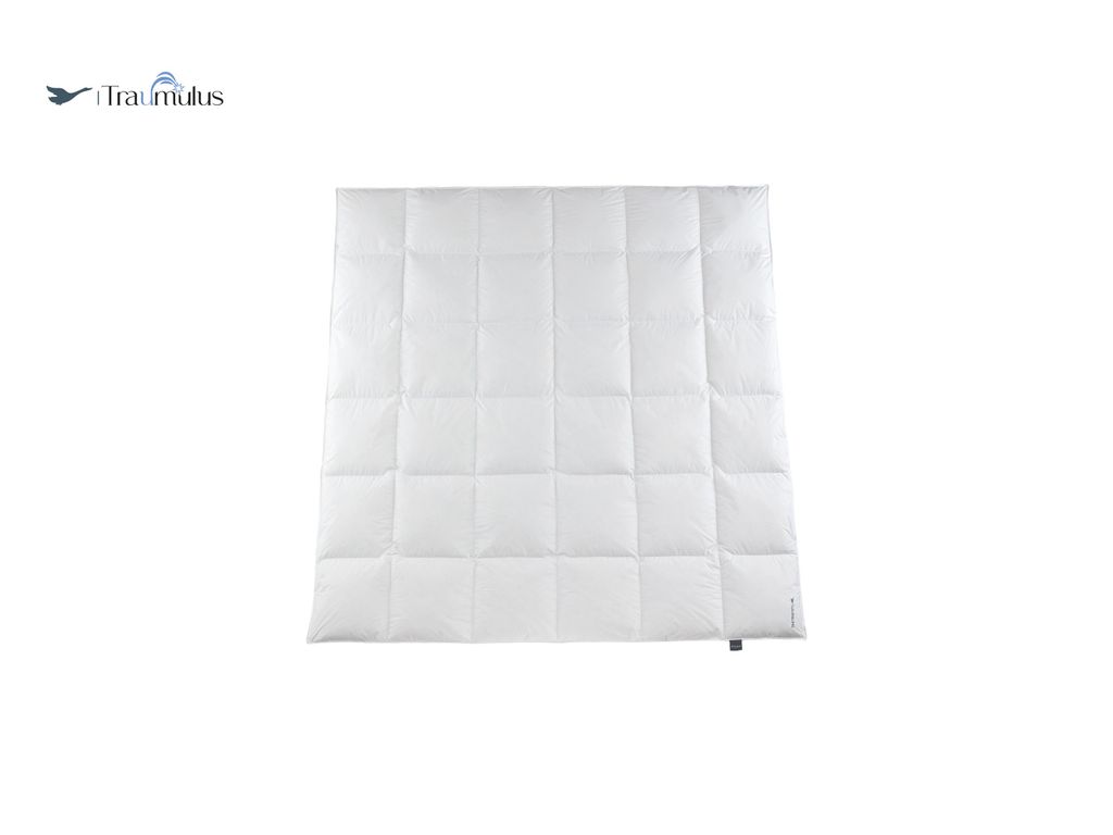 Häussling Traumulus Winter Daunendecke KB 4x6 warm 200x200 cm , Deutsche Manufaktur, auch für Allergiker geeignet, Bezug 100% Baumwolle