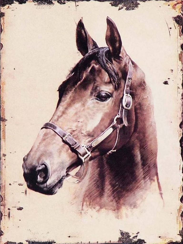 vianmo Holzschild 40x30 cm Retro Portrait Pferd Kopf Bildmotiv