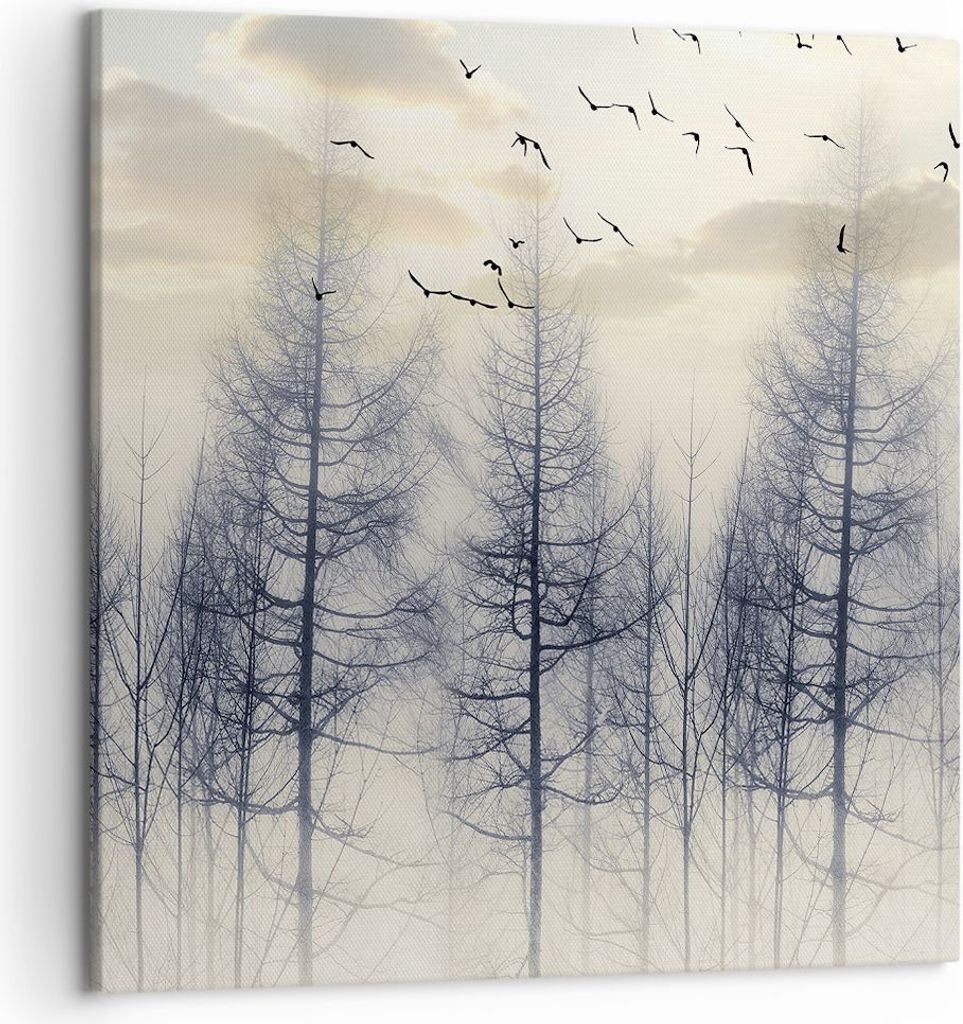 Bild auf Leinwand - Leinwandbild - Einteilig - Bäume Vögel Himmel - 50x50cm - Wand Bild - Wanddeko - Wandbilder - Leinwanddruck - Bilder - Wandde...