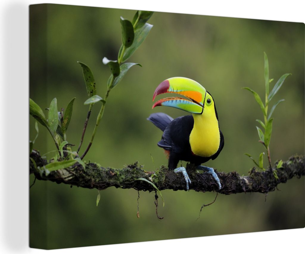 OneMillionCanvasses® - Leinwandbilder - 140x90 cm, Ein Produktbild 