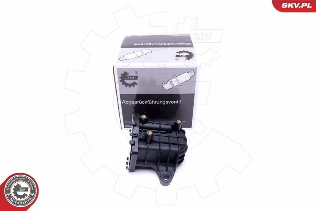 Soupape EGR ESEN SKV 14SKV231 pour FORD Kuga Mk2 DM2 Haute Précision