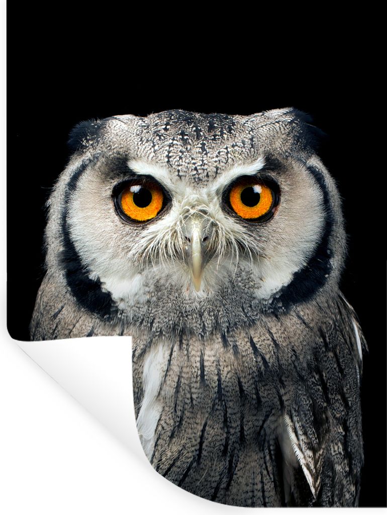 MuchoWow Wandtattoo Wandsticker Wandaufkleber Eule - Vogel - Orange - Schwarz 90x120 cm Selbstklebend und Repositionierbar - Faltenfrei