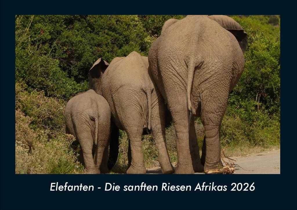 Elefanten - Die sanften Riesen Afrikas 2026 Fotokalender - Querformat DIN A4, Monatskalender mit Bild-Motiven von Haustieren, Bauernhof, wilden Tie...