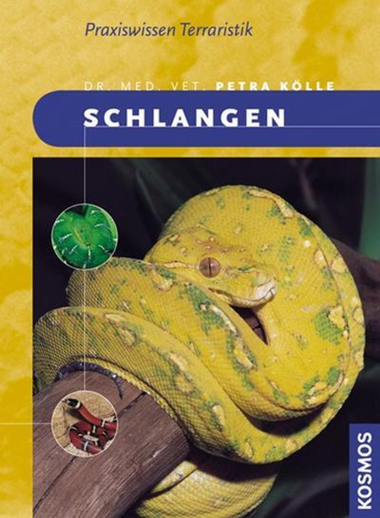 Buch zur Schlangenhaltung: Terrarium einrichten und Artenschutzbestimmungen