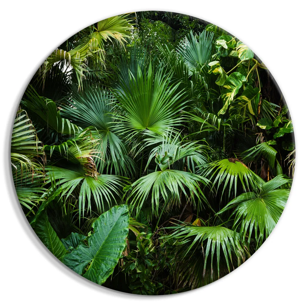 Quadro Rotondo 80x80 cm Monstera 3D - Tela Moderna Tropicale XXL - 5