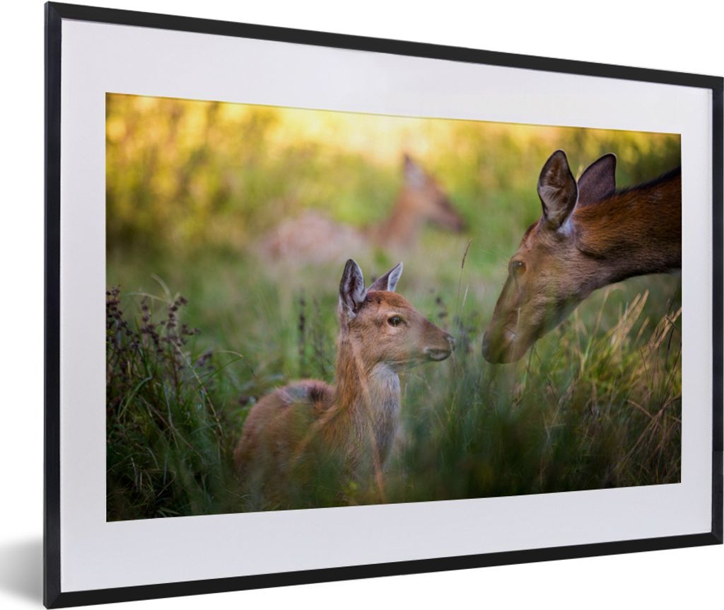 MuchoWow MuchoWow Gerahmtes Poster Hirsche - Gras - Wald 60x40 cm - Poster mit zchwarzem Bilderrahmen - Schlafzimmer - Plakat in Rahmen - Drucken