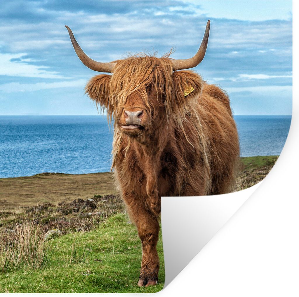 MuchoWow Wandtattoo Wandsticker Wandaufkleber Schottischer Highlander - Wasser - Hörner 50x50 cm Selbstklebend und Repositionierbar - Selbstkleb...