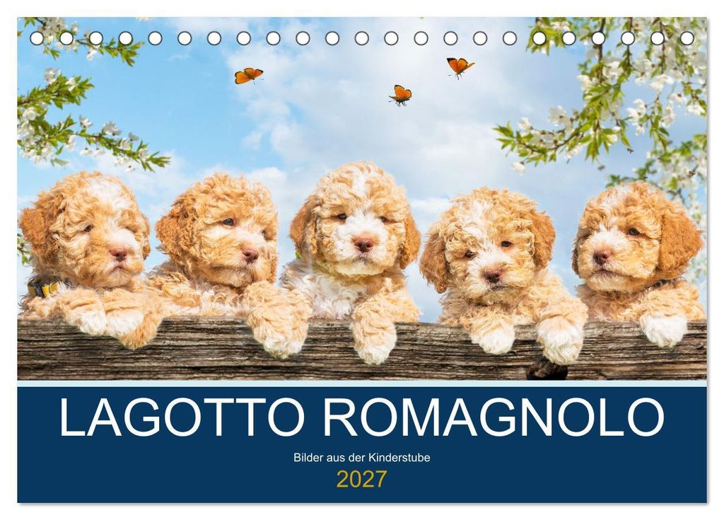 Lagotto Romagnolo - Bilder aus der Kinderstube (Tischkalender 2027 DIN A5 quer), CALVENDO Monatskalender
