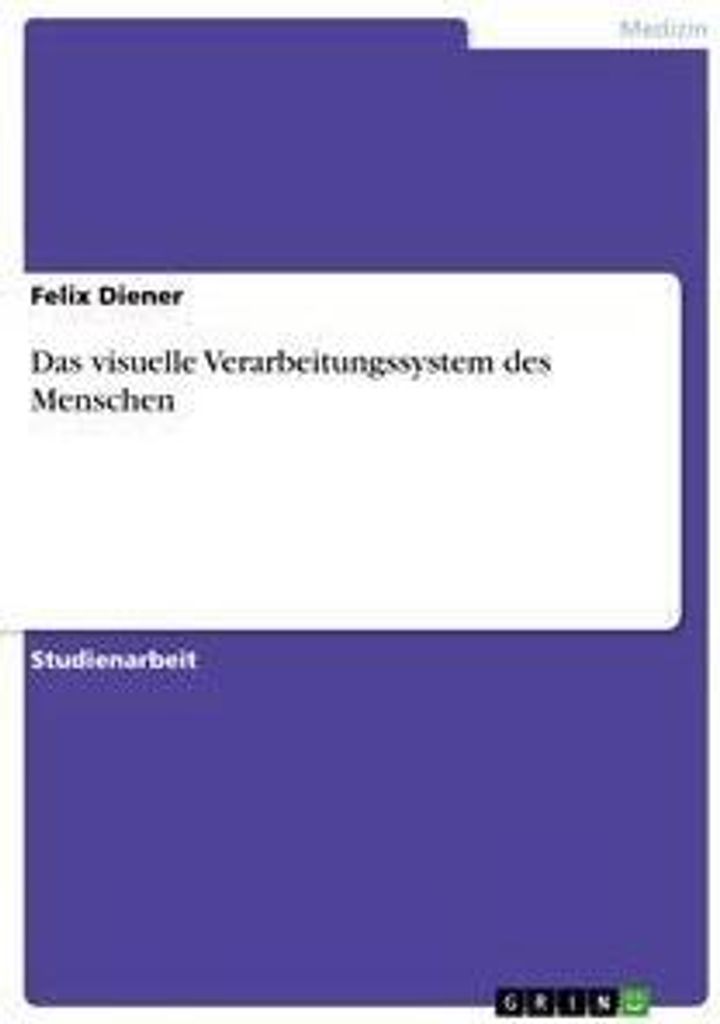 Das visuelle Verarbeitungssystem des Menschen