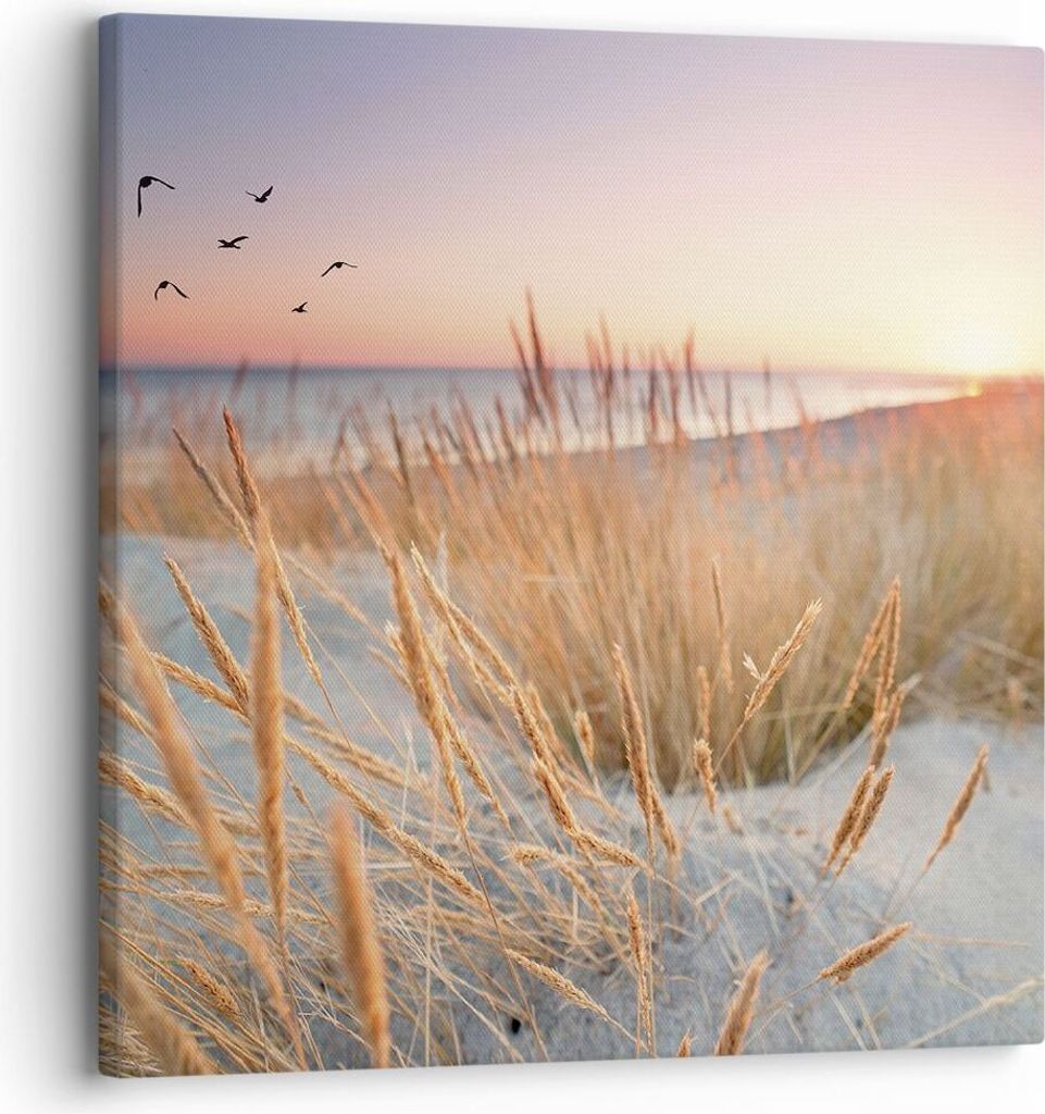 Bild auf Leinwand - Leinwandbild - Einteilig - Sonne Vögel Sand - 30x30cm - Wand Bild - Wanddeko - Wandbilder - Leinwanddruck - Bilder - Wanddekor...