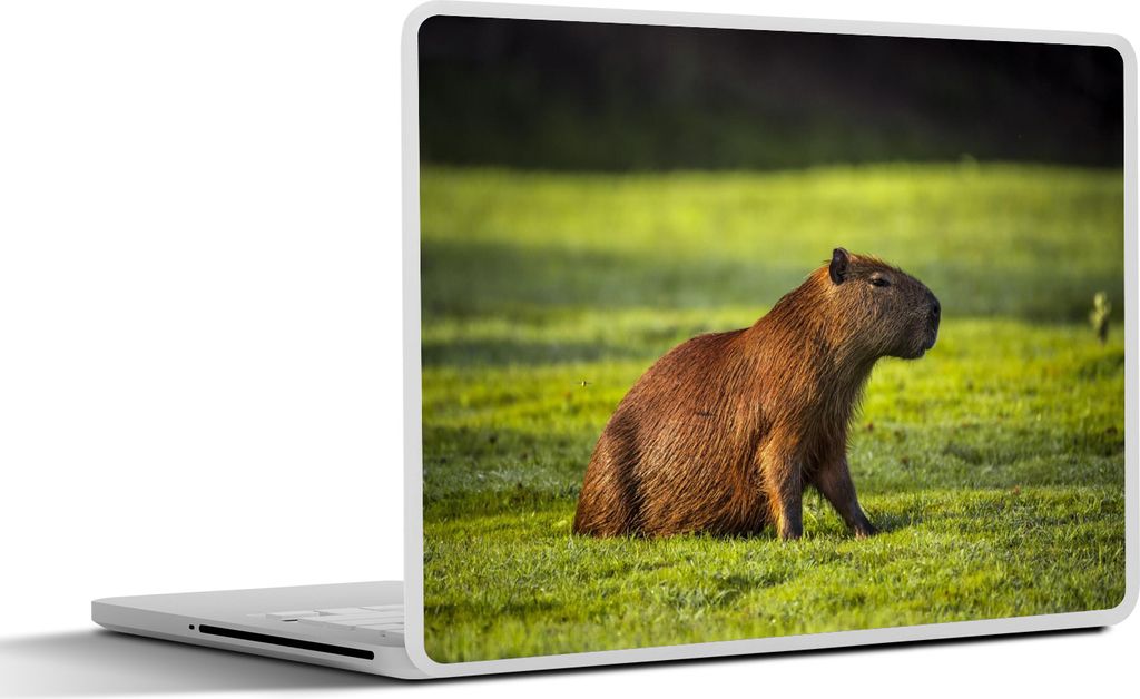MuchoWow Laptop Aufkleber Sticker Cover Goldene Sonnenstrahlen über dem Capybara 25x18 cm - Laptop-Deko