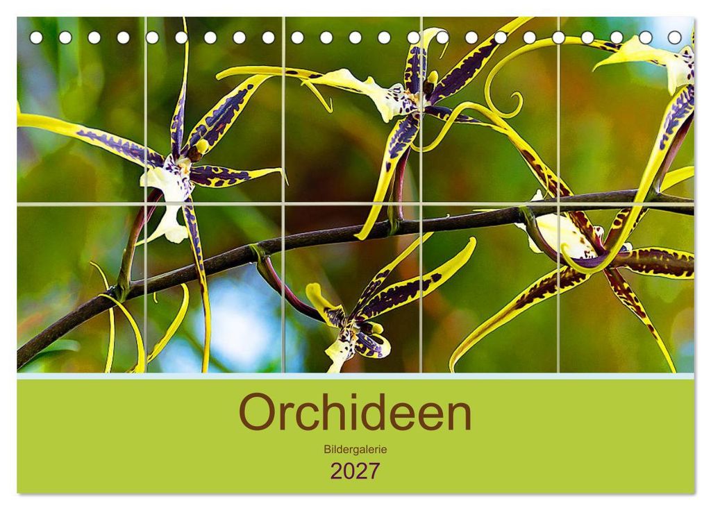 Orchideen Bildergalerie (Tischkalender 2027 DIN A5 quer), CALVENDO Monatskalender