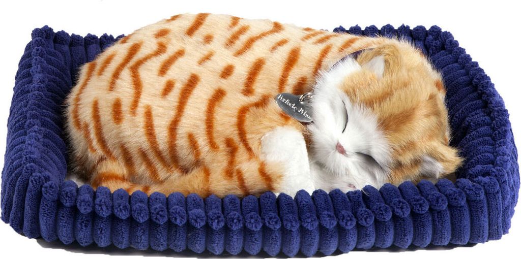 Perfect Petzzz Soft Orange Cat Image du produit 