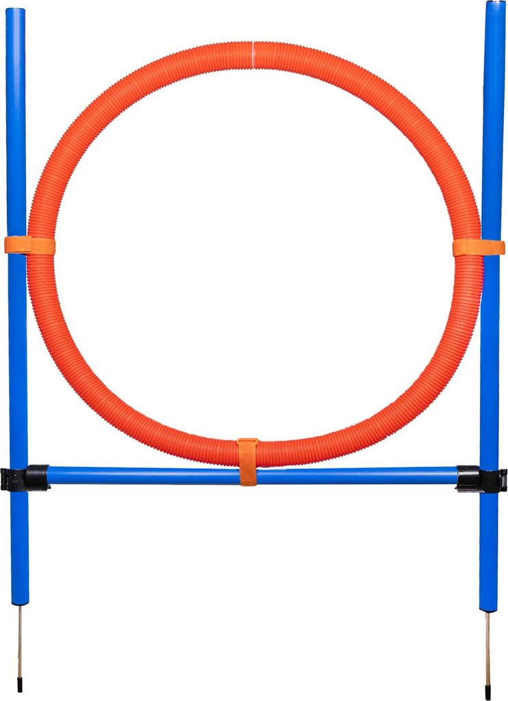 Sprungring für große Hunde, Agility-Set, Hundetraining Produktbild 