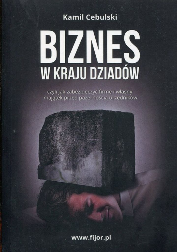 Biznes w kraju dziadów - Kamil Cebulski (Buch auf Polnisch)
