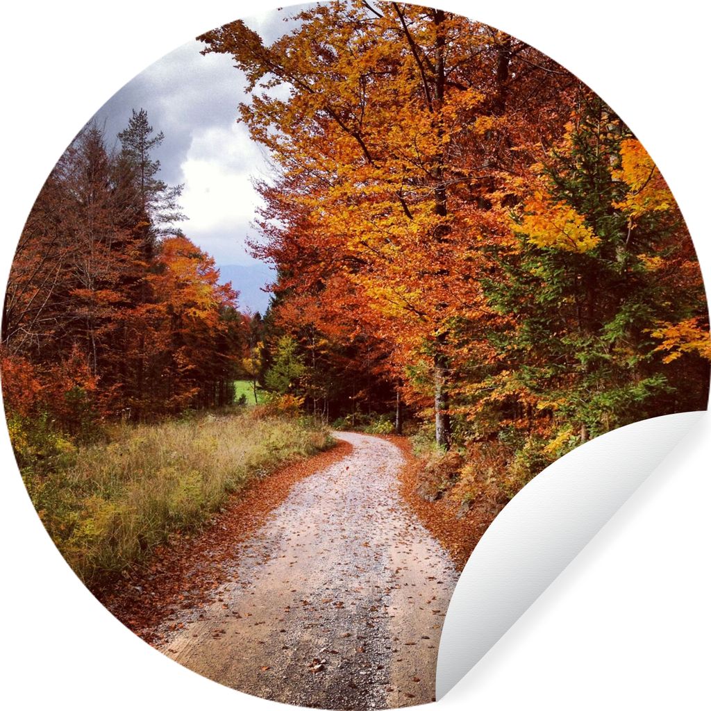 MuchoWow Runde Wandtattoo - Wandsticker Tapete Aufkleber Herbst - Herbstblätter - Weg - Wald Ø 30 cm Selbstklebend und Repositionierbar - Wanda...