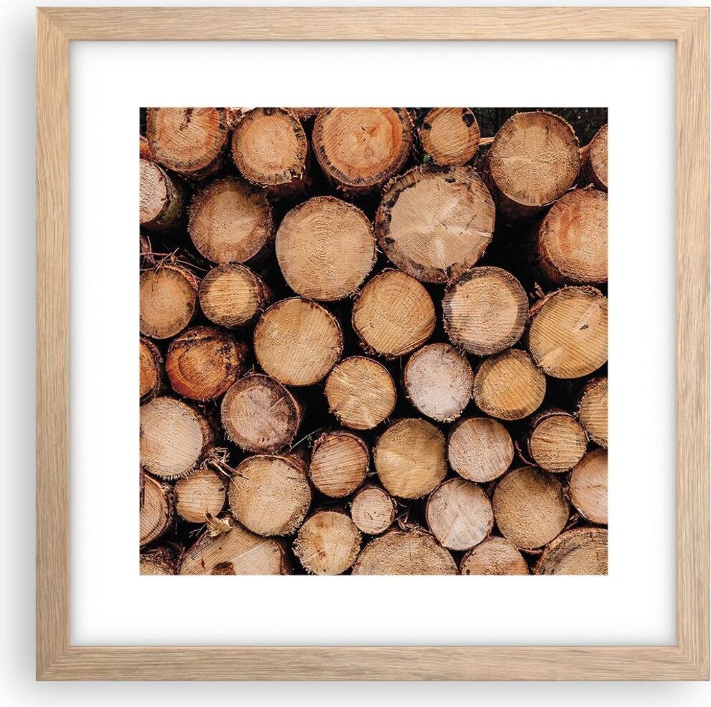 Gerahmtes Poster - Rahmen in heller Eiche - Holz Baumstämme Stämme - 30x30 cm - Wand Bild - Wanddeko - Wandbilder - Kunstposter - Wandposter - Bi...