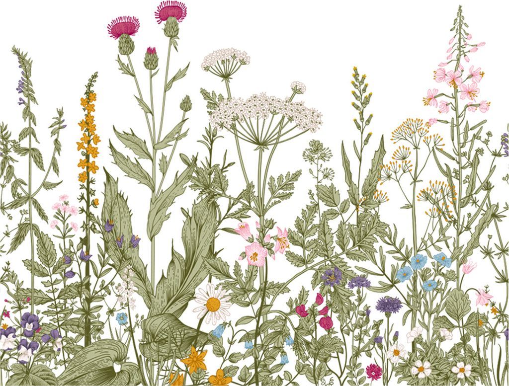 Blatt Toilettenaufkleber Grüne Pflanze Wandaufkleber Selbstklebend Blumenaufkleber Abnehmbare Wandkunst Aufkleber Badezimmer Wohnzimmer Dekor