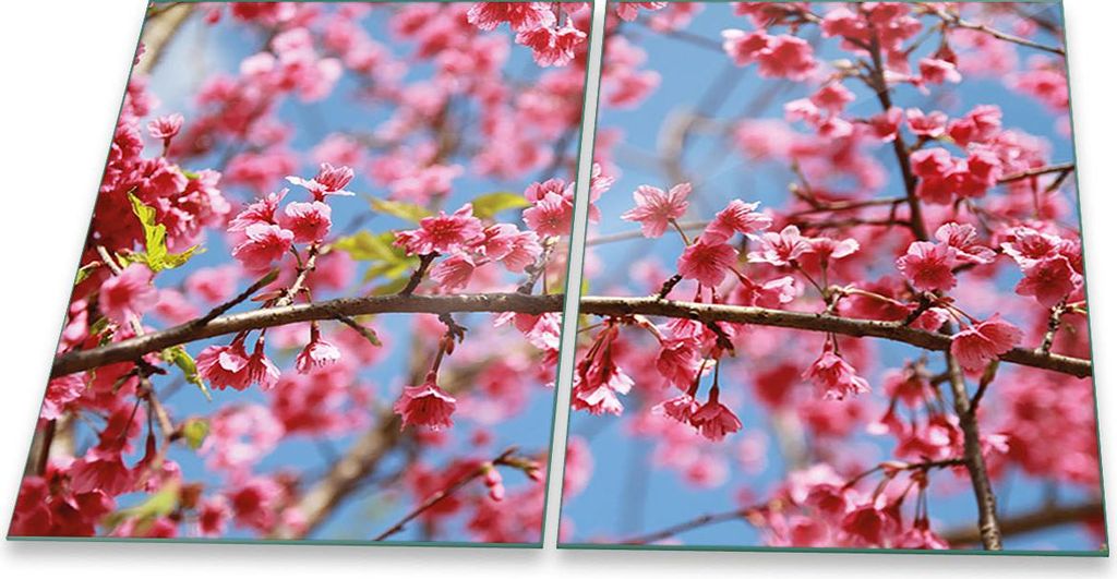 Herdabdeckplatten Ceran Spritzschutz Glas Universal 2-Teilig 2x40x52 Blumen Pink