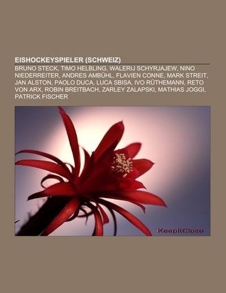 Eishockeyspieler (Schweiz)