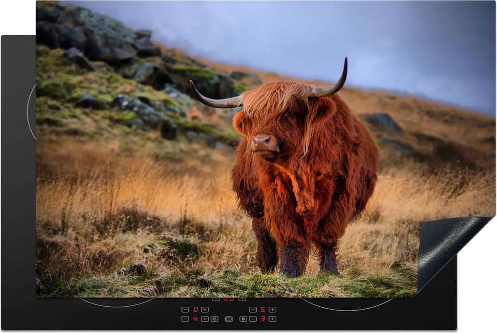 KitchenYeah Herdabdeckplatte Schottische Highlander - Gras - Steine , 81x52cm, Küche Deko, Glaskeramikfeld Herdabdeckung, Abdeckplatte fùr Koch...