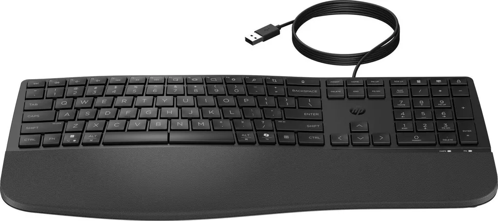 Clavier d'ordinateur ergonomique HP 480 Comfort filaire USB ultra robuste