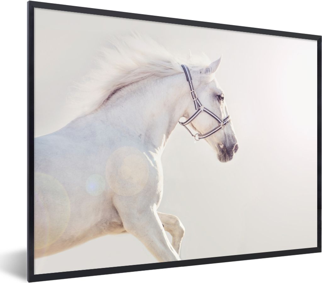 MuchoWow Gerahmtes Poster Pferd - Weiß - Mähne 40x30 cm - Poster mit Schwarzem Bilderrahmen Wandposter Rahmen Foto Bilder - Kunstposter - Wandd...