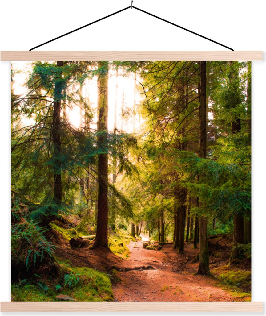 MuchoWow Textilposter Wald - Weg - Bäume - Grün - Sonne - Natur 120x120 cm mit holzfarbenen Rahmen - Textil-Poster
