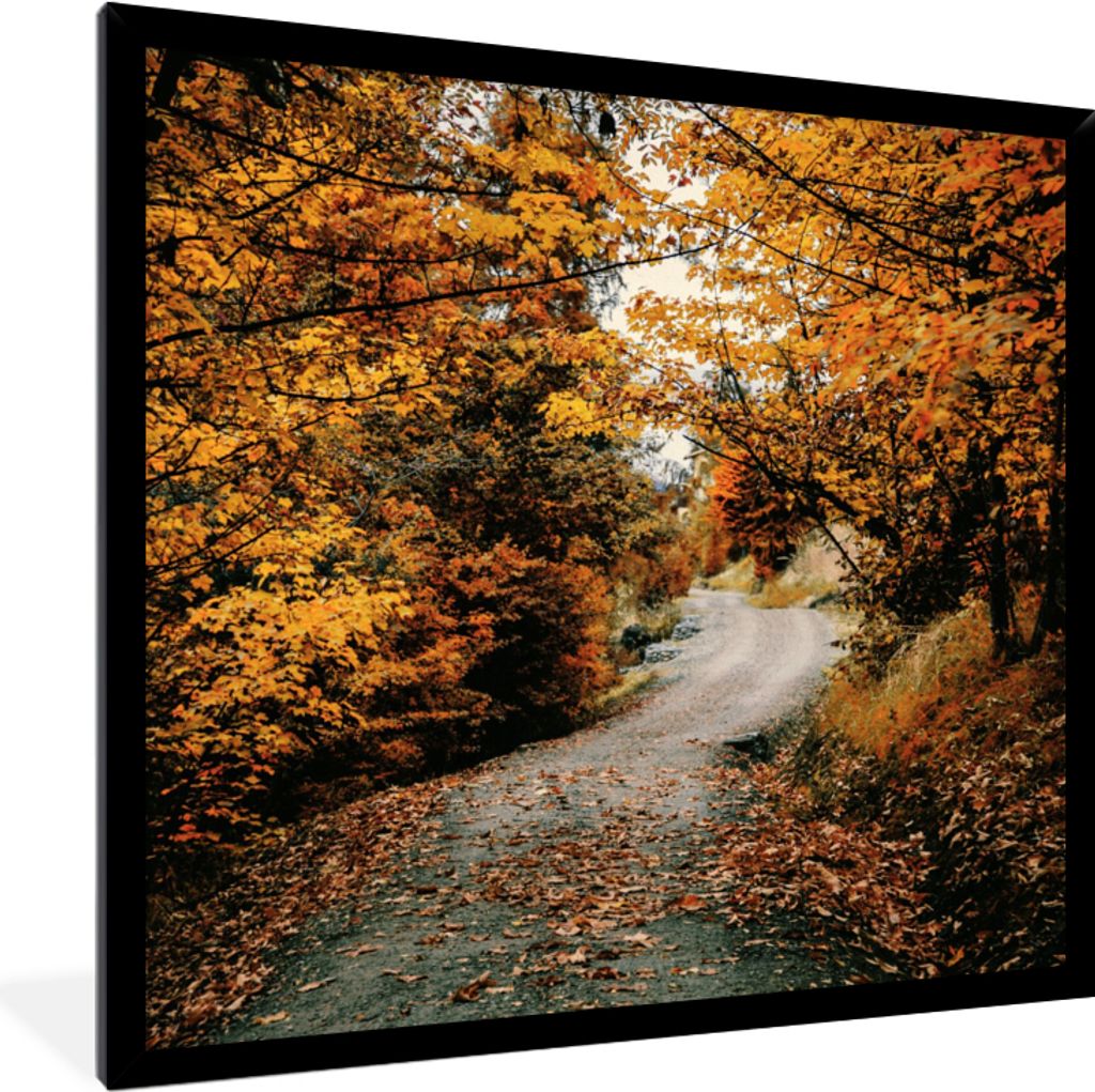 MuchoWow Gerahmtes Poster Herbstwald - Weg - Laub - Ländlich 40x40 cm - Poster mit Schwarzem Bilderrahmen Wandposter Rahmen Foto Bilder - Mit Ra...