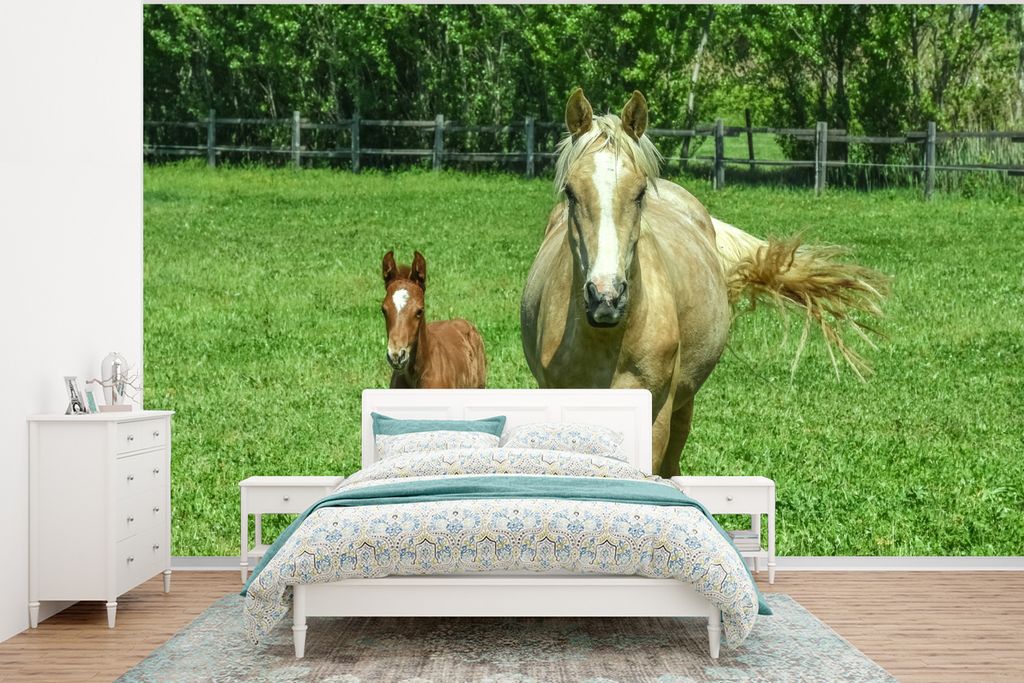 MuchoWow Fototapete für Wohnzimmer oder Schlafzimmer Wandtapete Vinyl Motivtapete Pferd - Fohlen - Tiere - 295x220 cm - Wand Tapete