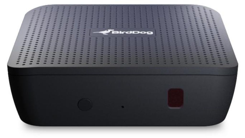 BirdDog PLAY HD & 4K NDI® Player Produktbild 